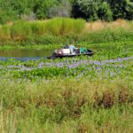 Marshland Vegetation Control in Texas